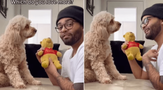 Viral Video of Luna Choosing Between Her Dad and Favorite Toy