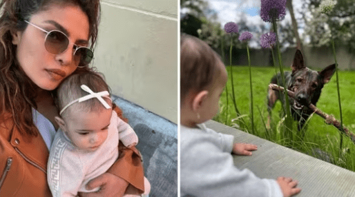 Malti Marie Looks Innocently At Gino As He Comes To Play With Her