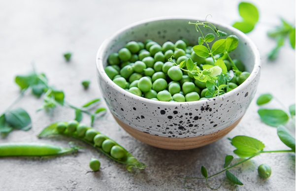 Can Dogs Eat Peas Pros and Cons