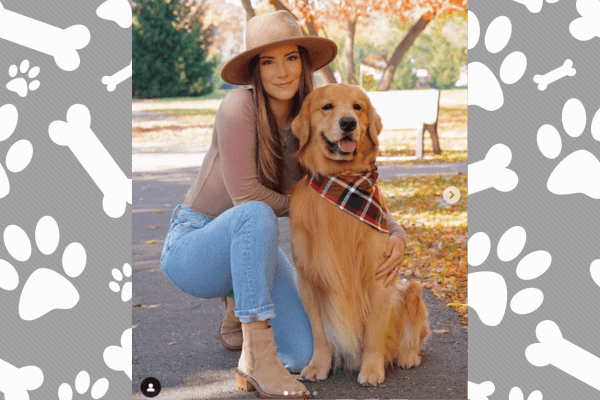 Can You Believe This Dog Earns Rs. 8.27 Crore Annually