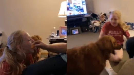 Dog and Human Engage in Playful Battle That Will Make You Laugh Out Loud