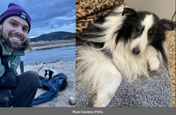 Missing Dog Found After 5 Weeks on Remote Colorado Peak