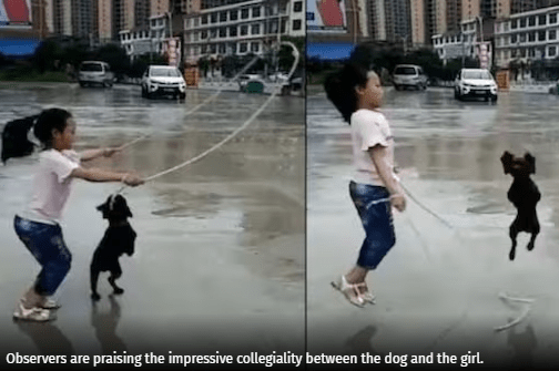 Perfectly Synced Girl and Dog Skip Rope Together