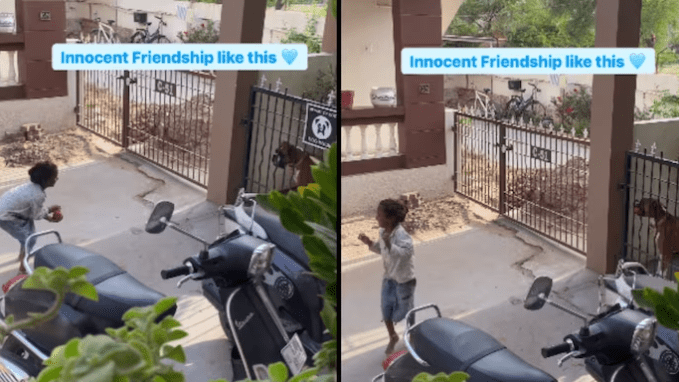 Pet Dog Plays with Homeless Girl, Internet Enthralled