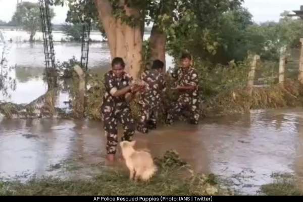 Andhra Pradesh Police Save Stranded Puppies From Floodwater as Mother Dog Seeks Help