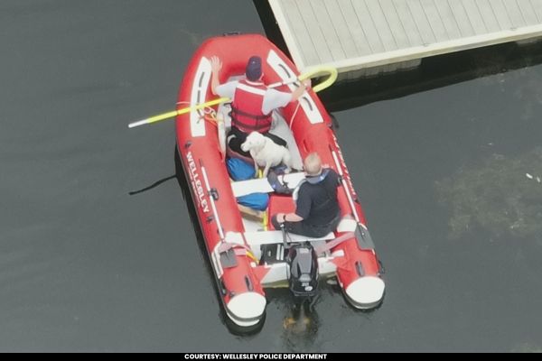 US Firefighters Rescue Dog Stranded in Middle of Lake