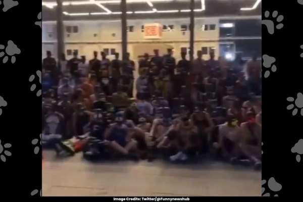 Individuals Identifying as Dogs Convene in Berlin, Sparking Calls for Animal Control Measures