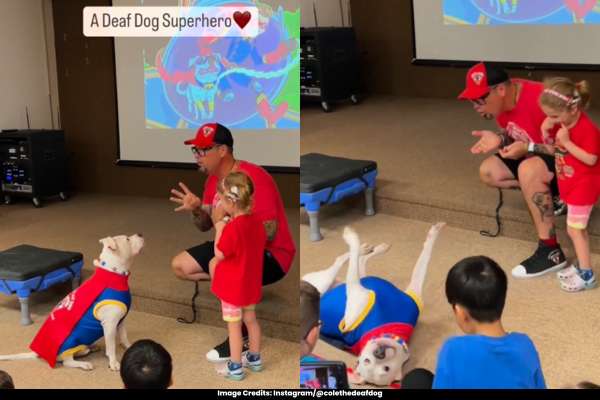 Man Communicates with Deaf Dog Using Sign Language Watch Heartwarming Interaction