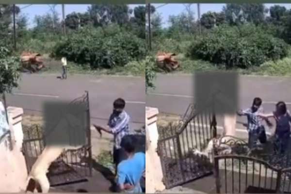 Disturbing Video Trainers Caught on CCTV Hanging and Strangling Dog to Death in Bhopal