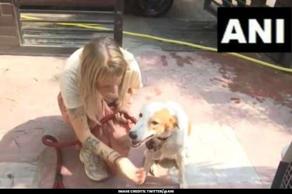 Dutch Tourist in India Extends Stay to Bring Home Beloved Street Dog