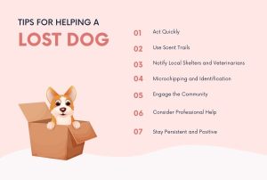 Tips for Helping a Lost Dog