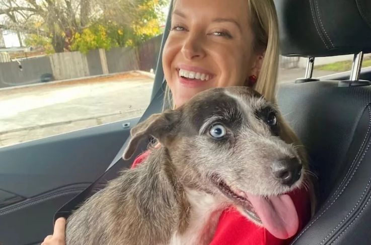 Kelly Olynyk Locates Lost Dog