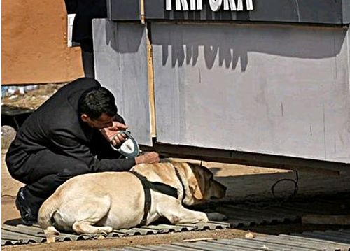 How traces of dust found by a squad dog helped police identify a murder suspect