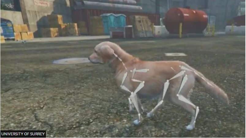 Surrey Researchers Develop AI to Transform Dog Images into 3D Models