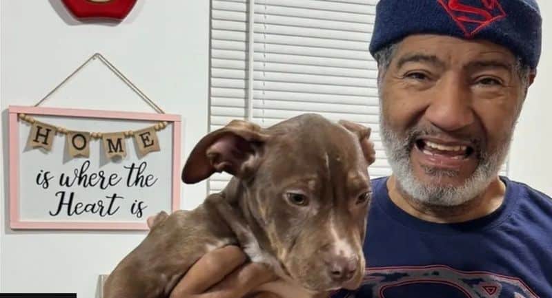 New Beginnings for Dogs Rescued Amid DC Animal Cruelty Investigation