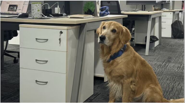 Chief Happiness Officer