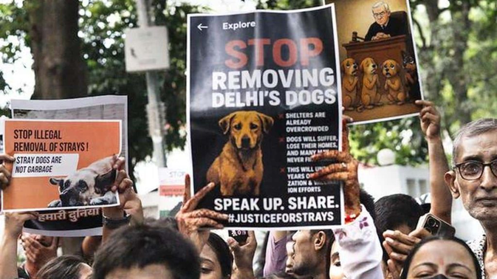 Bollywood Celebs React to Supreme Court Stray Dog Order