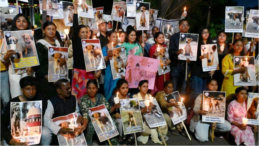 SC Ruling on Stray Dogs